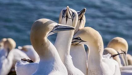 苏超十大“男主”③ 有你心目中的他吗?丨阿刁喜欢看球